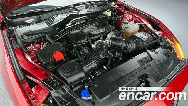 Ford Mustang 7세대 5.0 GT Premium кабриолет, 2024 6