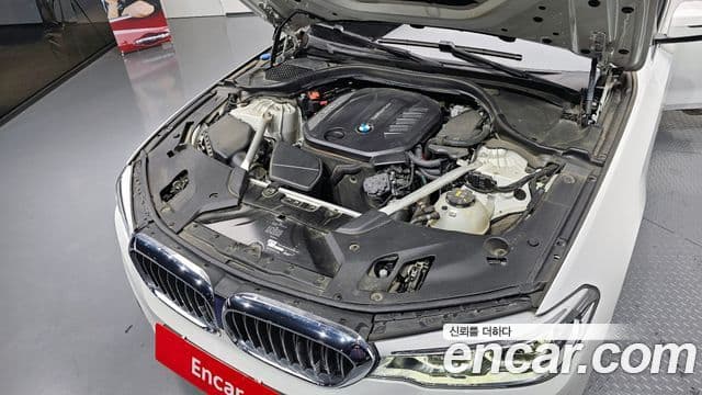 BMW 5시리즈 (G30) 520d Luxury Plus, 2020 6