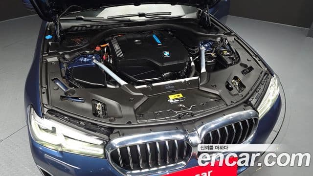 BMW 5시리즈 (G30) Luxury, 2021 6