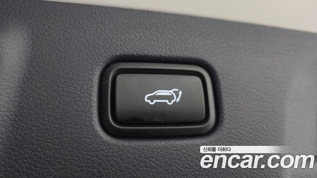 Hyundai Palisade Prestige, 2019 19