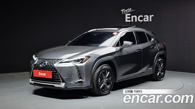 Lexus UX250h, 2022 1