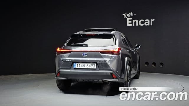 Lexus UX250h, 2022 4