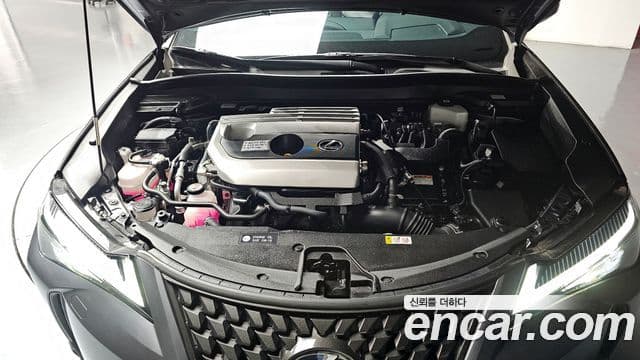 Lexus UX250h, 2022 6