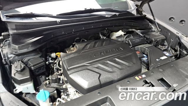 Hyundai Santa Fe TM Exclusive Special, 2019 6