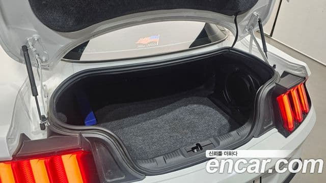 Ford Mustang купе, 2018 20