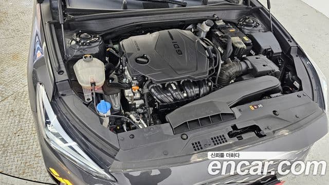 Kia K8 Noblesse, 2023 6