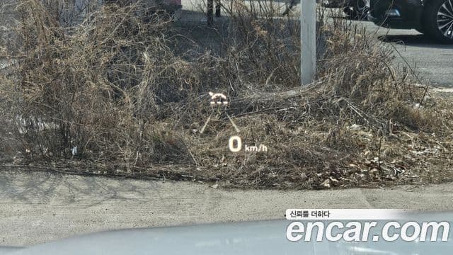 Hyundai Palisade Prestige, 2020 13