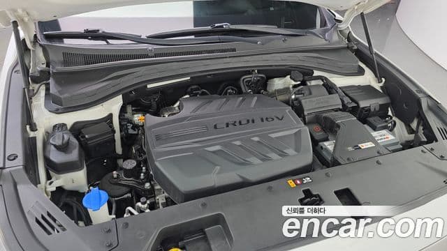 Hyundai Santa Fe TM Inspiration, 2019 6