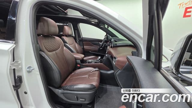 Hyundai Santa Fe TM Inspiration, 2019 10