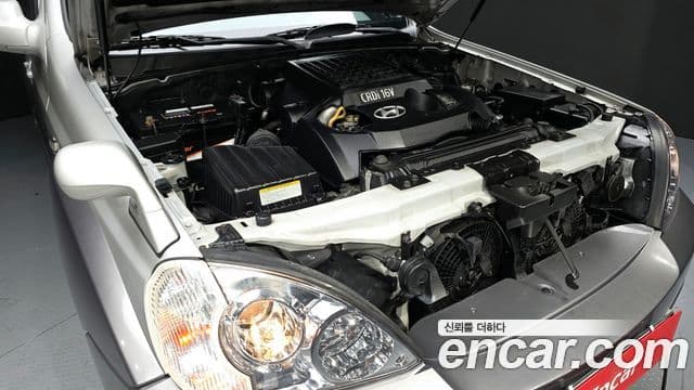 Hyundai 테라칸 топовая версия, 2006 6