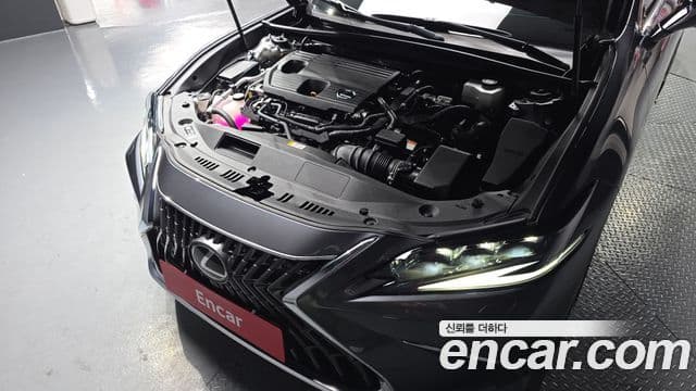 Lexus ES300h 7세대 Executive, 2024 6