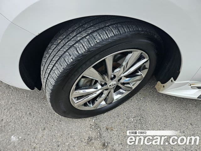 Kia The / новый New Carnival VIP, 2019 7