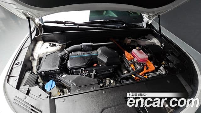 Kia Sorento 4세대 Prestige, 2022 6