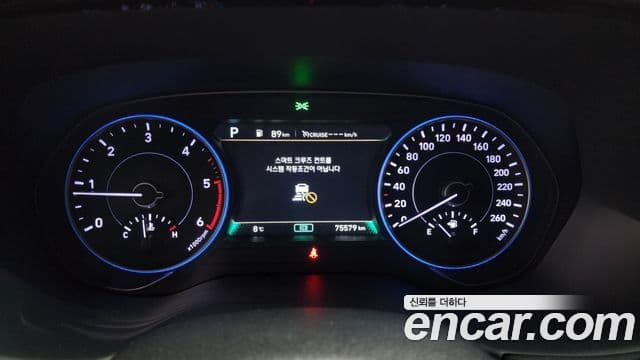 Hyundai Palisade Prestige, 2020 8