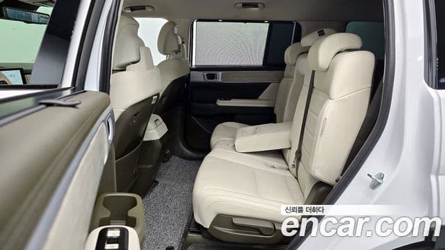 Hyundai Santa Fe (MX5) Calligraphy, 2024 12