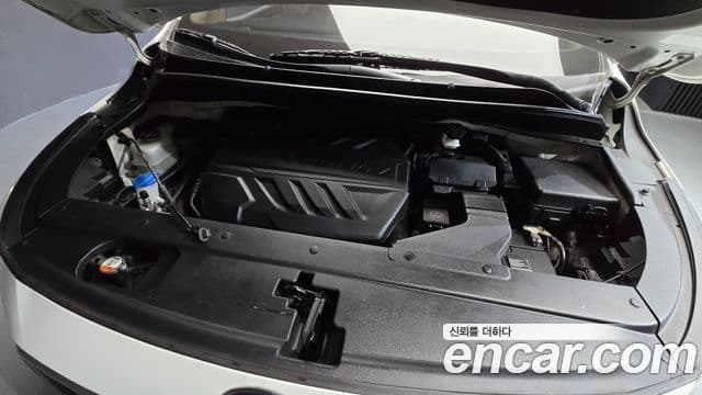 Kia The / новый New Carnival Noblesse, 2019 6