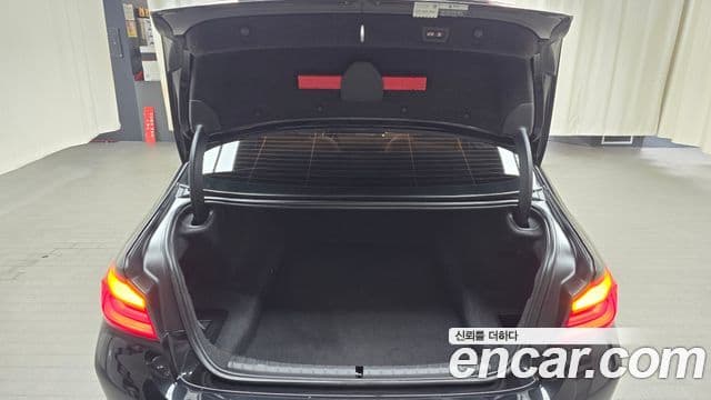 BMW 5시리즈 (G30) Luxury, 2019 20