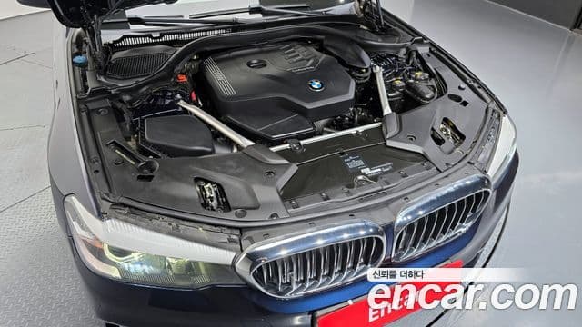 BMW 5시리즈 (G30) Luxury, 2020 6