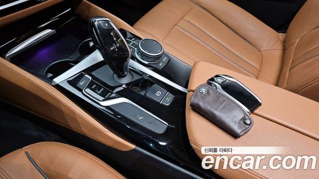 BMW 5시리즈 (G30) Luxury, 2020 9