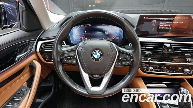 BMW 5시리즈 (G30) Luxury, 2020 13
