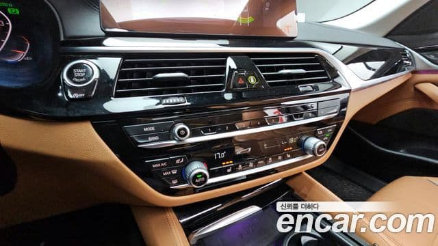 BMW 5시리즈 (G30) Luxury, 2020 15