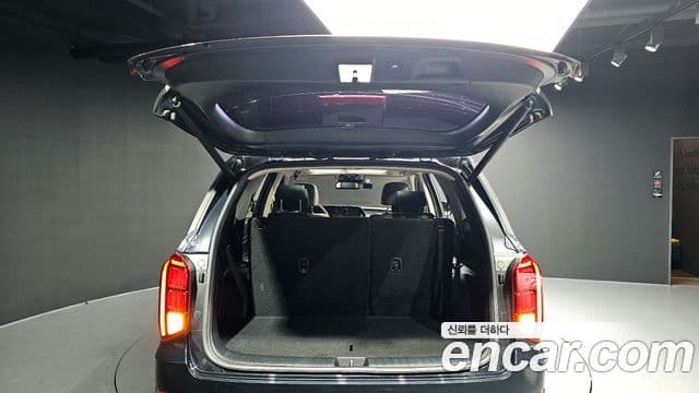 Hyundai Palisade Exclusive, 2019 20