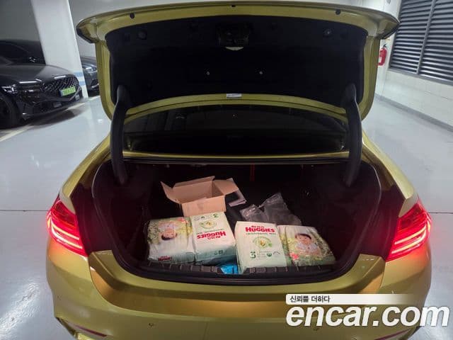 BMW M4 (F82) M4 купе performance Silencer Edition, 2016 7