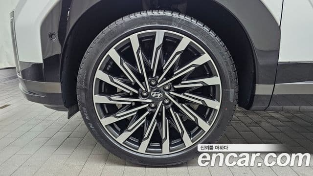 Hyundai Santa Fe (MX5) Calligraphy, 2024 все фото