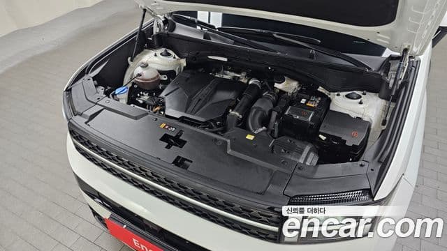 Hyundai Santa Fe (MX5) Calligraphy, 2024 6