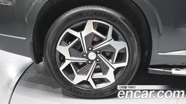 Hyundai Palisade Calligraphy, 2021 все фото