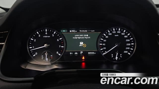 Kia The / новый K9 PlatinumⅠ, 2020 8