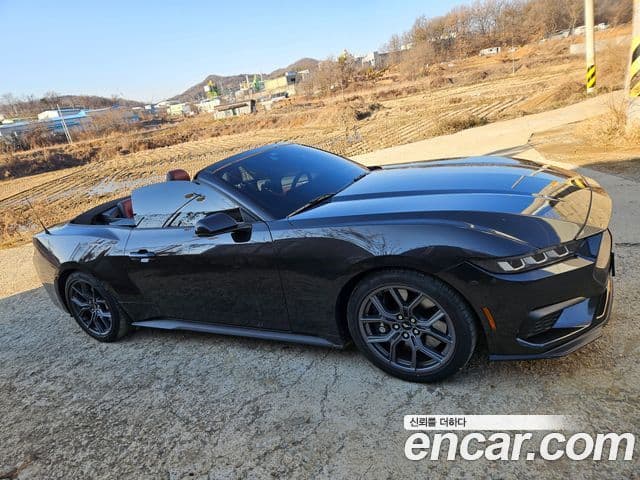 Ford Mustang 7세대 2.3 EcoBoost Premium кабриолет, 2024 3