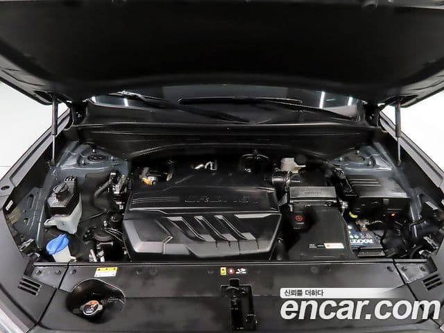 Hyundai Palisade Prestige, 2020 19