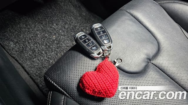 Hyundai Santa Fe TM Premium, 2019 20