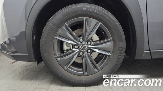 Lexus UX300h, 2026 все фото