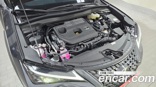 Lexus UX300h, 2026 6