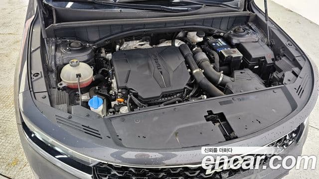 Kia Sorento 4세대 Signature, 2022 6