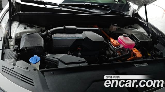 Kia Sorento 4세대 Prestige, 2022 6