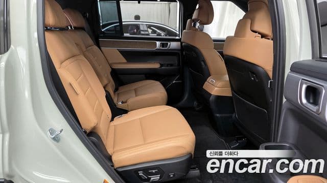 Hyundai Santa Fe (MX5) Calligraphy, 2024 12