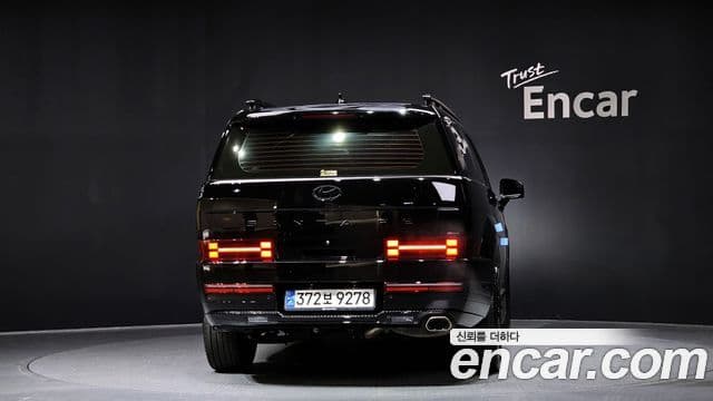 Hyundai Santa Fe (MX5) Calligraphy, 2024 4