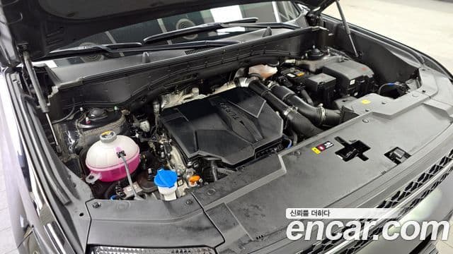 Hyundai Santa Fe (MX5) Calligraphy, 2024 6