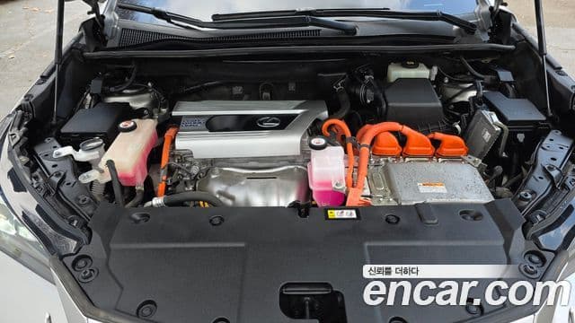 Lexus NX300h Supreme, 2021 6