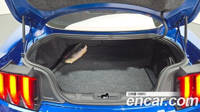 Ford Mustang купе, 2018 20