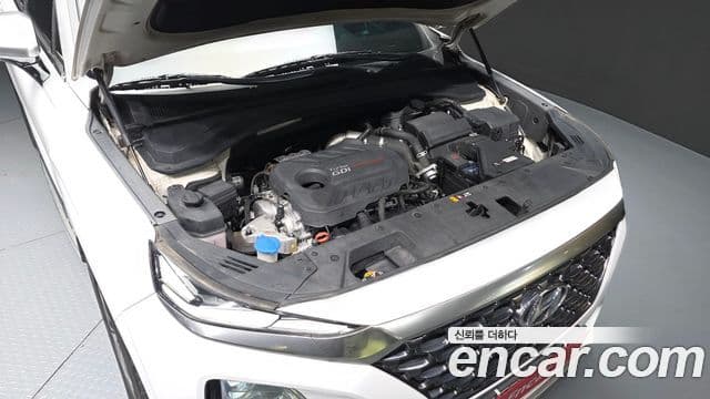 Hyundai Santa Fe TM Inspiration, 2019 6