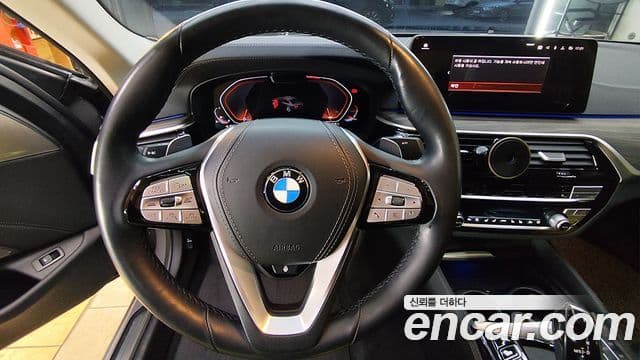 BMW 5시리즈 (G30) Luxury, 2022 6