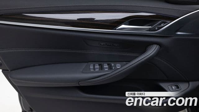 BMW 5시리즈 (G30) Luxury, 2023 13