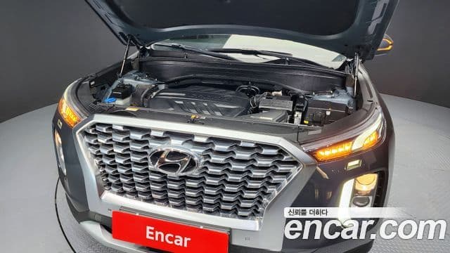 Hyundai Palisade Exclusive, 2020 6