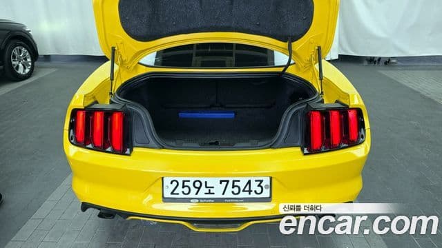 Ford Mustang купе, 2017 20
