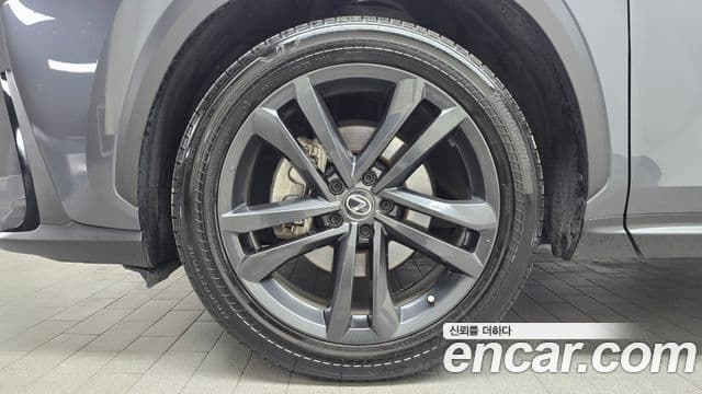 Lexus NX350h 2세대 Premium, 2023 все фото