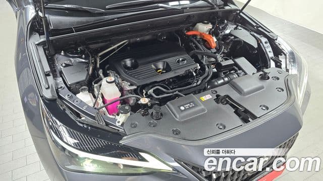 Lexus NX350h 2세대 Premium, 2023 6